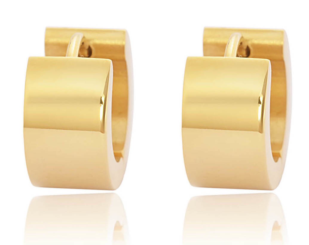 Stainless Steel Gold Tone Unisex Earrings